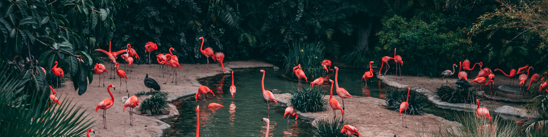 北京熊鹰国际旅行社有限公司驻马店第一网点